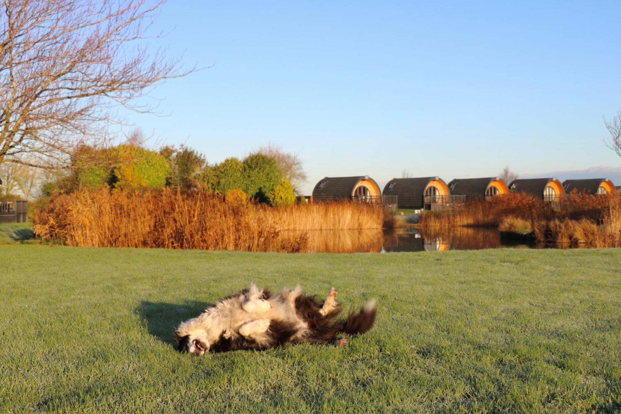 Resort Grange Farm Park 5*