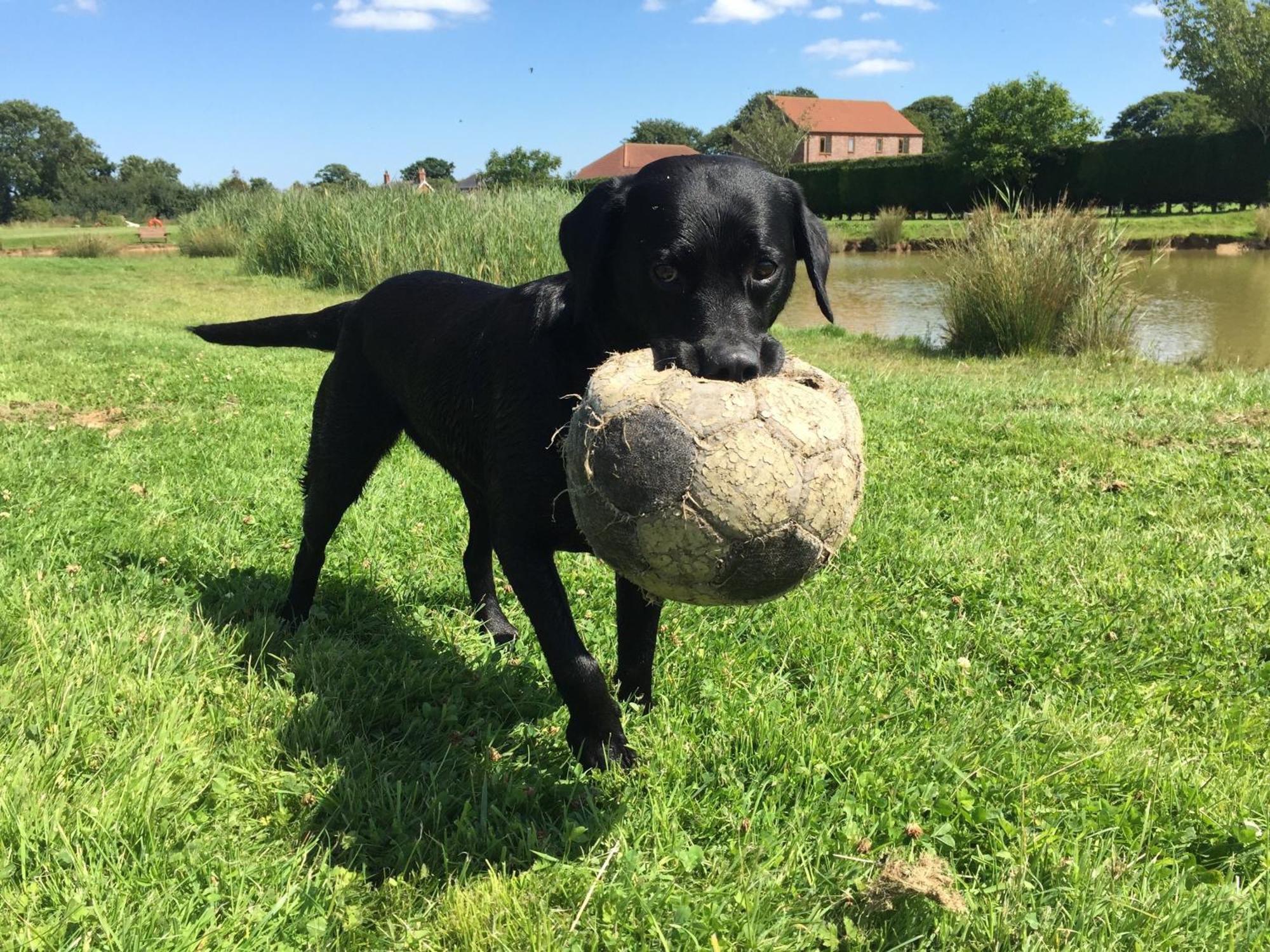 Grange Farm Park Resort Maltby le Marsh